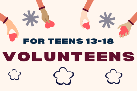 Teens: VolunTEENS